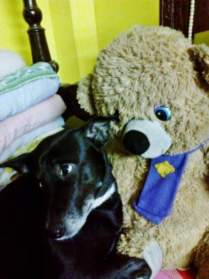 With his favourite teddy!
