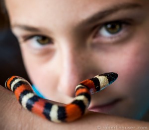 Ten year old boy with Arizona Mountain King Snake