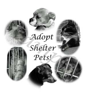 Adopt Shelter Pets