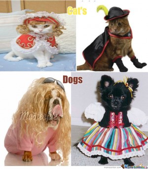 cats-dogs-dressed-up_o_1029058