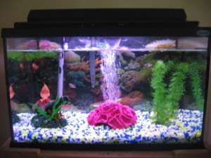 furniture-simple-aquarium-fish-tank-projects-fish-tank-ideas
