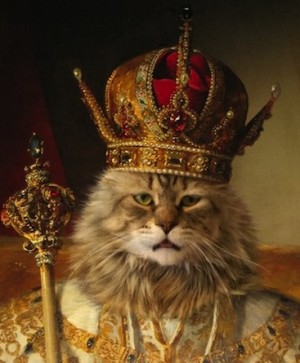 royal-cat
