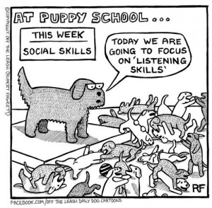puppy school
