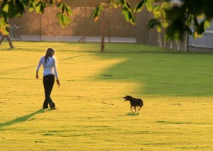 Dog_walking_in_West_Park_-_geograph.org.uk_-_998126