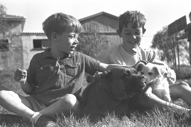 Flickr_-_Government_Press_Office_(GPO)_-_Children_and_Dogs