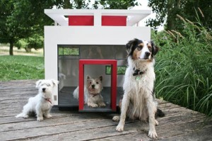 cubix-modern-dog-house-1