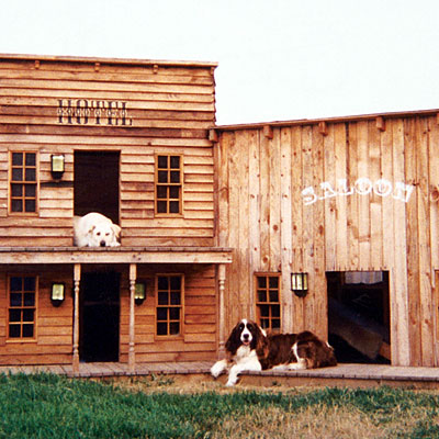 doghouse-old-west-town-l