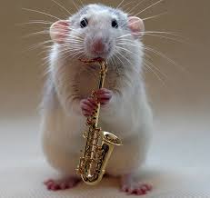 flute rat