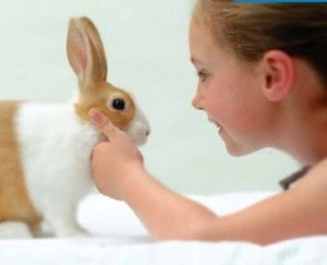 KID & BUNNY DEVELOPING STAGES