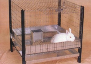 THE PERFECT BUNNY CAGE