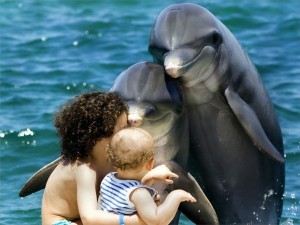 dolphins_with_kids-600x4501