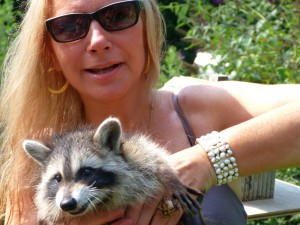 mom & raccoon