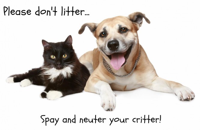 spay-and-neuter-your-pets