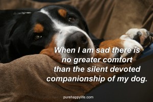 life-quote-when-sad-my-dog.